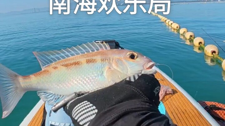 Ra bắt vài con cá nóc để cày cấp cho con