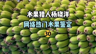 【صائد الفواكه】تحديد الفواكه الشائعة على الإنترنت 30