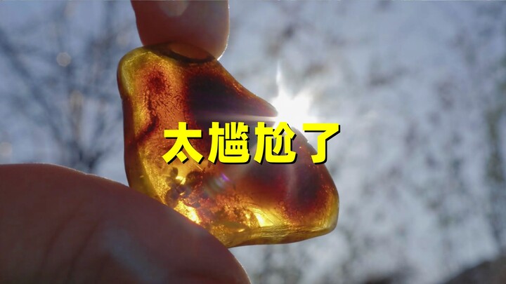 The most awkward moment in history: two flies mating got trapped in amber and are still being gawked