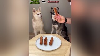 Veggie Sausage vs Sasuage - which will they pick? 🤔