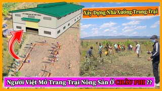Quanglinhvlogs || Người Việt Mở Trang Trại Nông Sản ở Châu Phi ??? Từng Bước Nhỏ Thực Hiện Ước Mơ