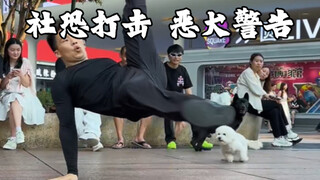 社恐打击，恶犬警告#美式霸凌mvp结算舞蹈＃路人视角＃内向＃胆小