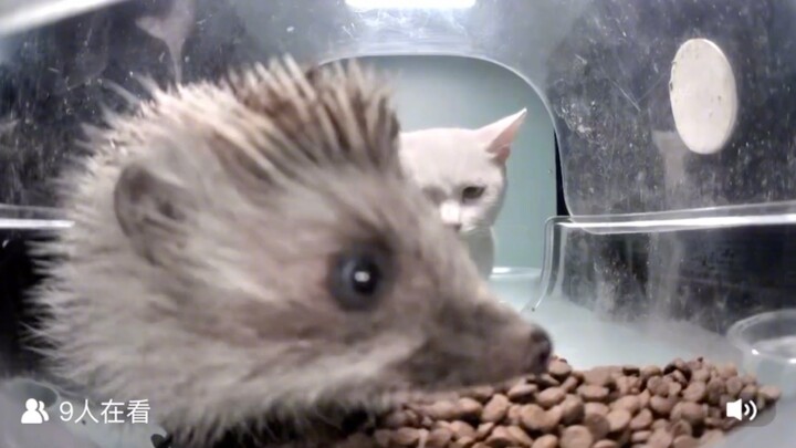 النظرة التي تُظهر رغبتك في خيانة أحدهم لا يمكن إخفاؤها.