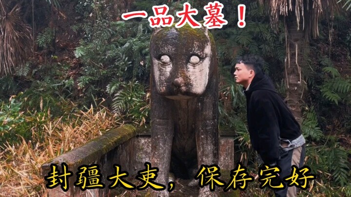 اكتُشف قبر قديم من أسرة تشينغ في أعماق جبال آنهوي! قبر كبير لمسؤول رفيع المستوى برتبة أولى، محفوظ بش