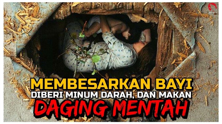MELAHIRKAN BAYI YANG TERNYATA ADALAH ANAK DARI MAKHLUK PENGHUNI HUTAN | ALUR CERITA