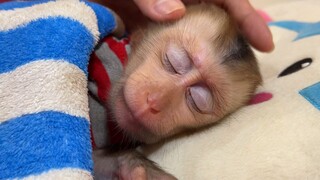 Mom Comfort Lovely Baby Liheang Sleep   So Cute Liheang Sleeping