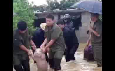 ราคามะเขือเทศพุ่งสูงขึ้น ที่จริงมีคำใบ้มาก่อนแล้ว!