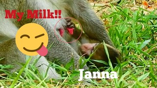 SO GOOD JANE!!, BABY JANNA SAID MY MILK MUM, MAMA MONKEY JANE BEST NURSE FOR CARE BABY TO GIVE UP