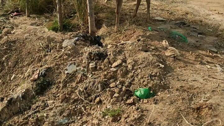 A video with no nutritional value.