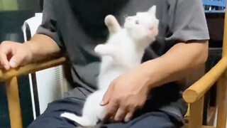 它这娴熟的动作太可爱了