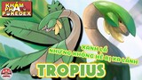 TROPIUS chú khủng long đuối như trái chuối !!! | Khám Phá Pokedex | PAG Center