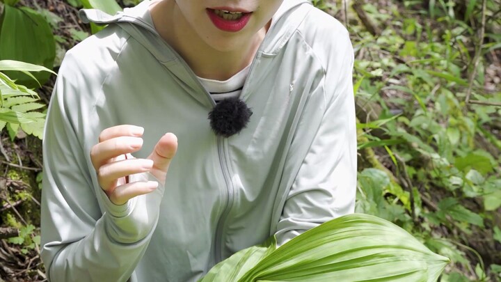 Veratrum looks very similar to many other plants—don’t accidentally pick it!