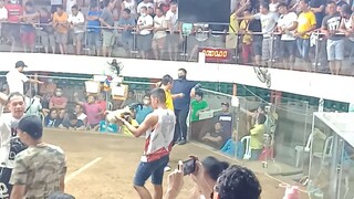 Talisay sinamahan Ng suwerte Texas Coliseum