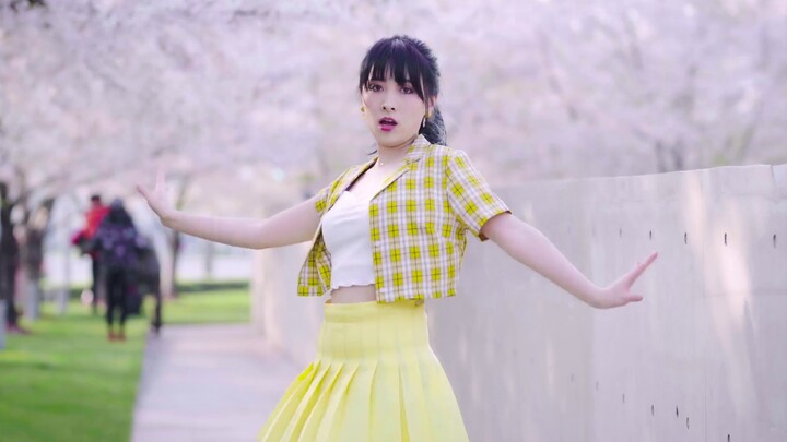 【Sakura Forest Boss】YA OK★Kecepatan pembaca Kekuatan An Qi★Buka rok panjang kuning muda dalam gaya K