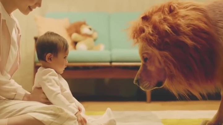 Heartwarming Japanese Ad: The Golden Retriever Truly Deserves Its Reputation as the "Warmest Guy" in