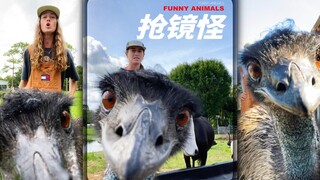 Emanuel ‼️请你立即马上立刻停止抢镜 ‼️