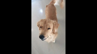 น่าร๊ากกกกจังเลยบอย 🥰🥰🥰