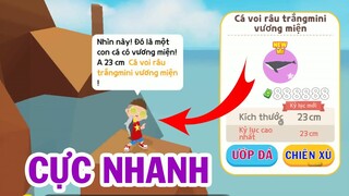 PLAY TOGETHER| cách câu cá voi râu trắng mini cực nhanh  game play together|Mắm TV