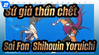 Sứ giả thần chết
Soi Fon&Shihouin Yoruichi_2