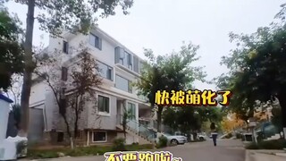 人类幼崽也太可爱了吧！！！