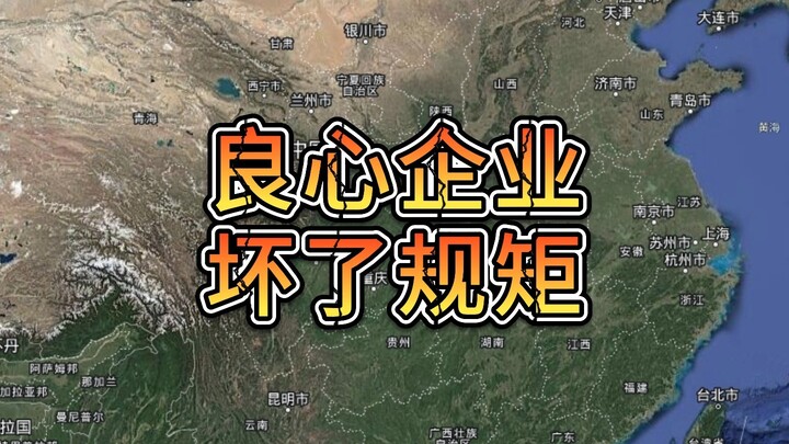 شركة ذات ضمير حقيقي