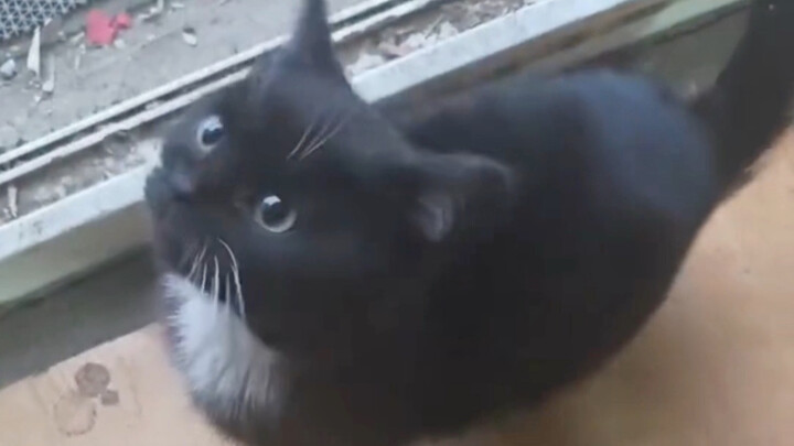 Why is it so small? It’s so cute!