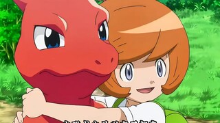 First defeat Charmeleon and then Moltres, Ash's strongest family bird, Flamelthawk appears!