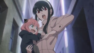 【10月1日】TV动画 间谍过家家  第二部分PV