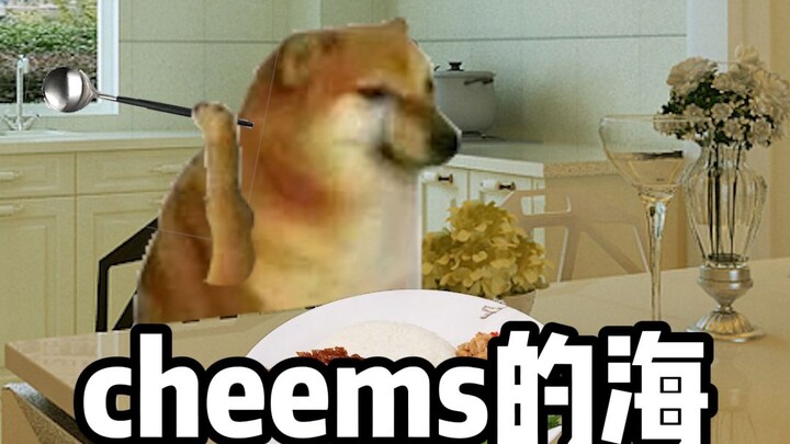 Cheems says he wants to die by the sea