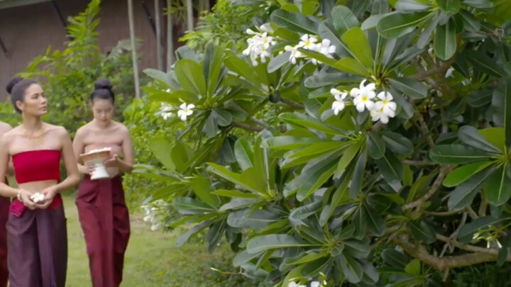 Sarb Krasue (2561) CH8 EP.30 CR.VIU