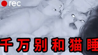 某些猫咪，白天一直在睡睡睡，一到晚上......