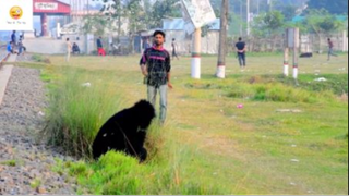 Giả Thành Khỉ Và Cái kết #Prank