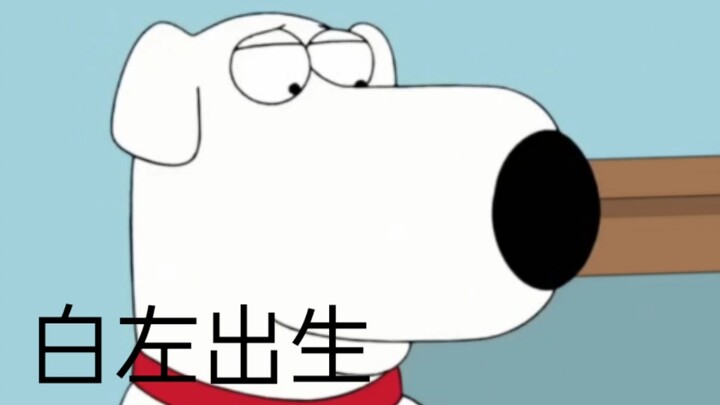 【恶搞之家/family guy】感谢出生一年的陪伴