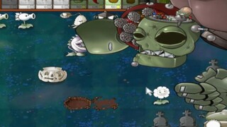 We are the champions!