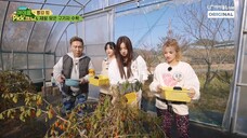 [ID SUB] [EP.01] IDOL PICKNIC I-DLE
