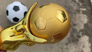I want to give this gold trophy to the national football team