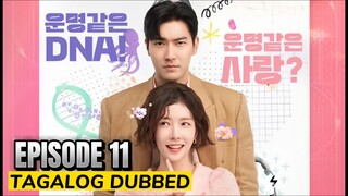 DNA Lover 2024 Episode 11 Tagalog Dubbed HD