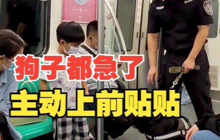 Bocah 5 tahun minta izin sentuh anjing polisi di metro, netizen: Cepat deh, lihat deh si anjing samp