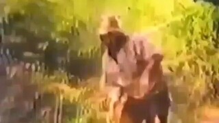 ANG DUELO Lito Lapid