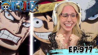THE WORST GENERATION IS HERE One Piece Episode 977 REACTION