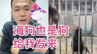 Even sea dogs are still dogs—Pan Hong wants to train one too! Send it to me!
