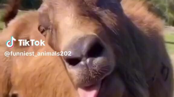 pov it's early in the morning at school