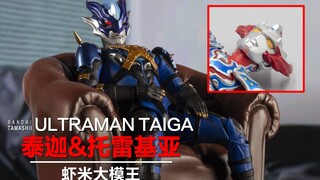 这奥特曼怎么这么...?~SHF托雷基亚&泰迦三重分享!【虾米大模王】