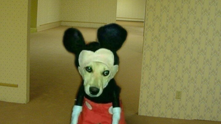 Backrooms: ㊙️巨恐怖~㊙️