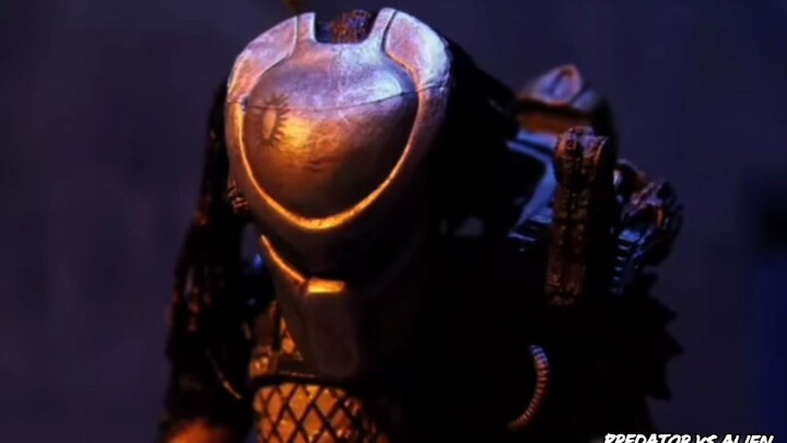 Animation - Alien vs Predator
