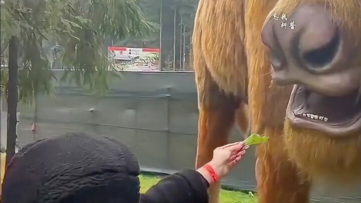 “Loài sinh vật đột biến này anh em cậu có đánh nổi không”