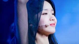 梁乔-第五季直拍