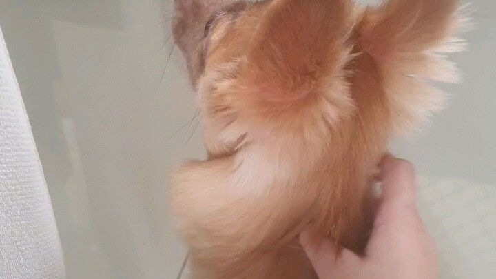 Titan lookin kinda cute with her clothes🤎😍