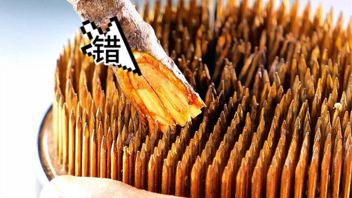 剑山插花正确使用方法
