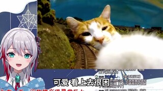 Japanese natural girl watches "If One Day, the Pet Cat Becomes Extraordinarily Huge...": It's so cut